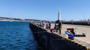 江の島大堤防の様子