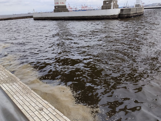 大黒ふ頭西緑地公園