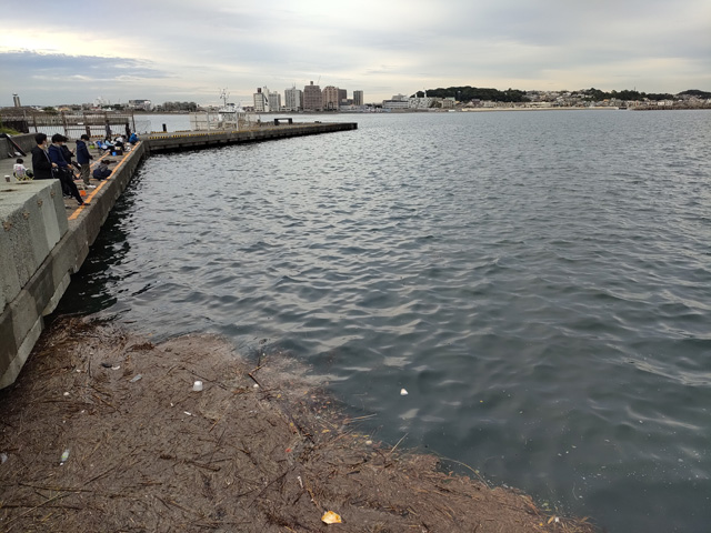 江の島大堤防