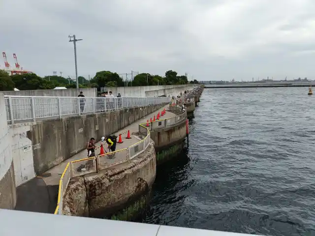 新護岸