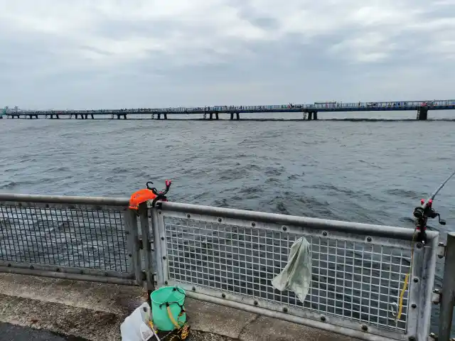 旧護岸