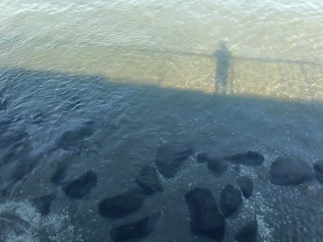 明治百年記念展望塔